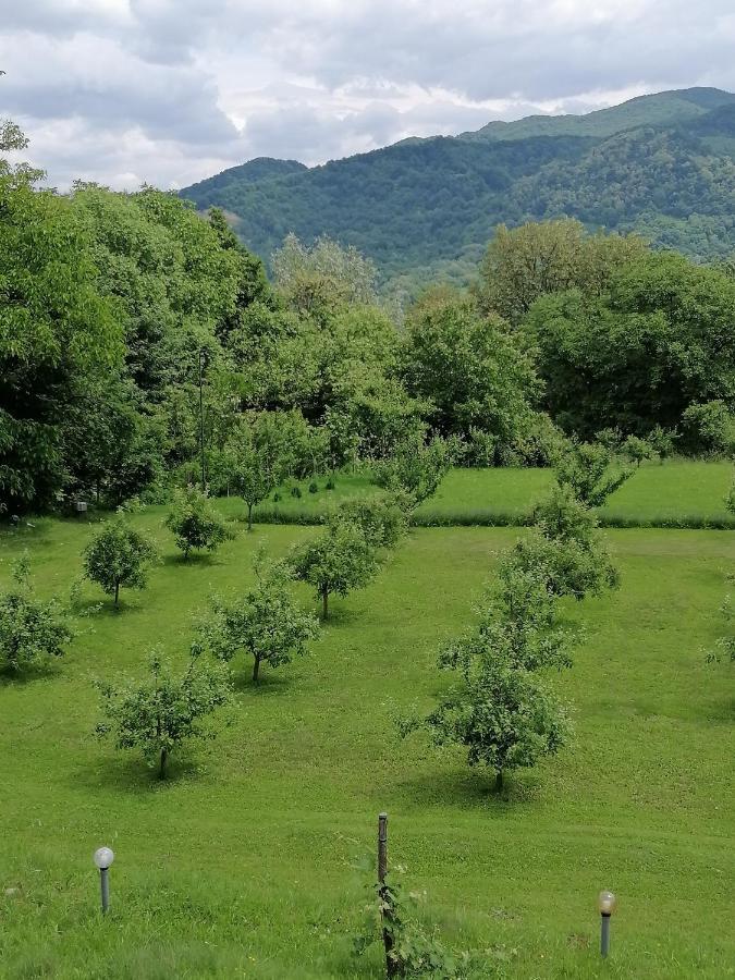 Hotel Casa Veche Corbeni Zewnętrze zdjęcie