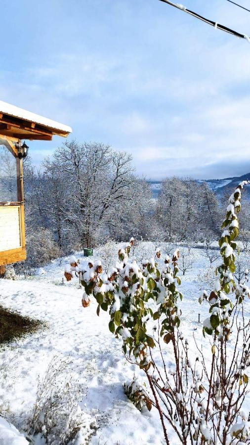 Hotel Casa Veche Corbeni Zewnętrze zdjęcie